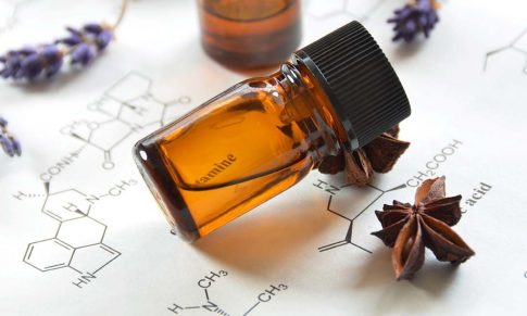 Una Mirada más profunda a los Aceites Esenciales e Hidrolatos