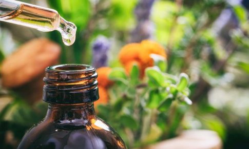 Los 20 Aceites Esenciales que No Pueden faltar en tu Botiquín Veterinario