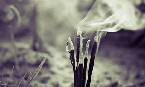 La Influencia de los Aromas sobre la Mente: Psicoaromaterapia