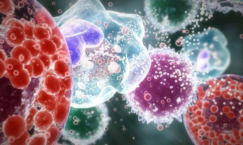 La Aromaterapia y el Sistema Inmunitario
