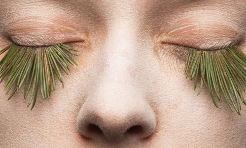 Productos Naturales para el Cuidado Facial según el Tipo de Piel