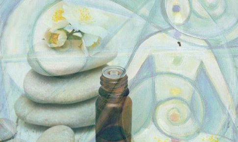 Los Diferentes Enfoques de la Aromaterapia