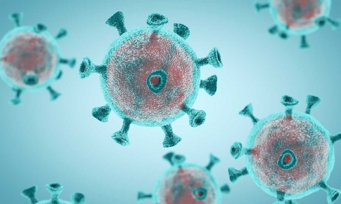 Coronavirus y Aceites Esenciales
