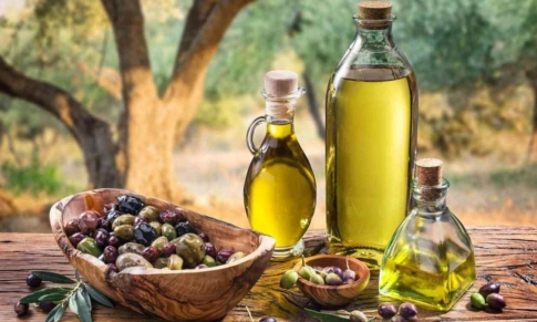 Composición de los Aceites Vegetales