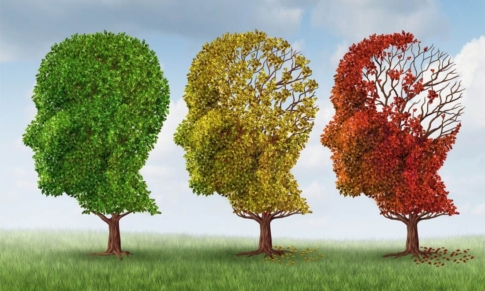 Prevenir las Enfermedades Neurodegenerativas con Aceites Esenciales
