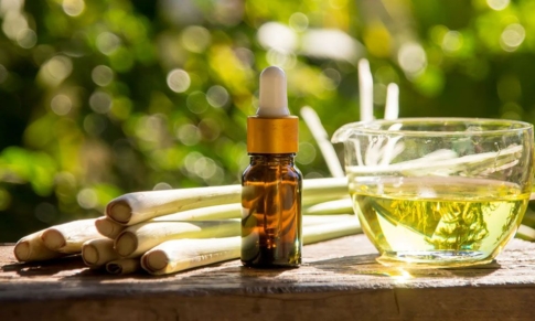 Prepara tu propio spray natural Repelente de Mosquitos
